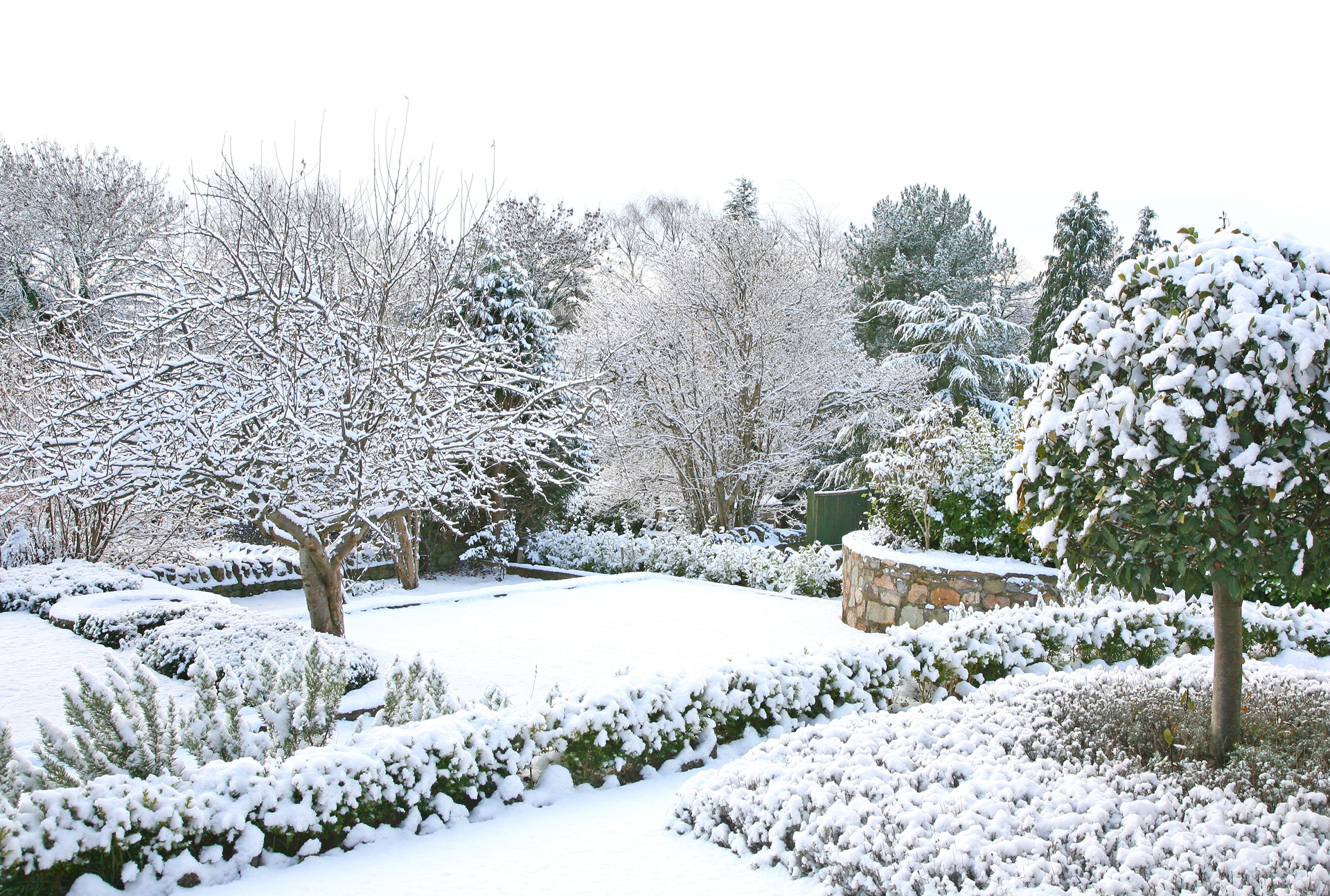 Jardín en invierno cubierto de nieve