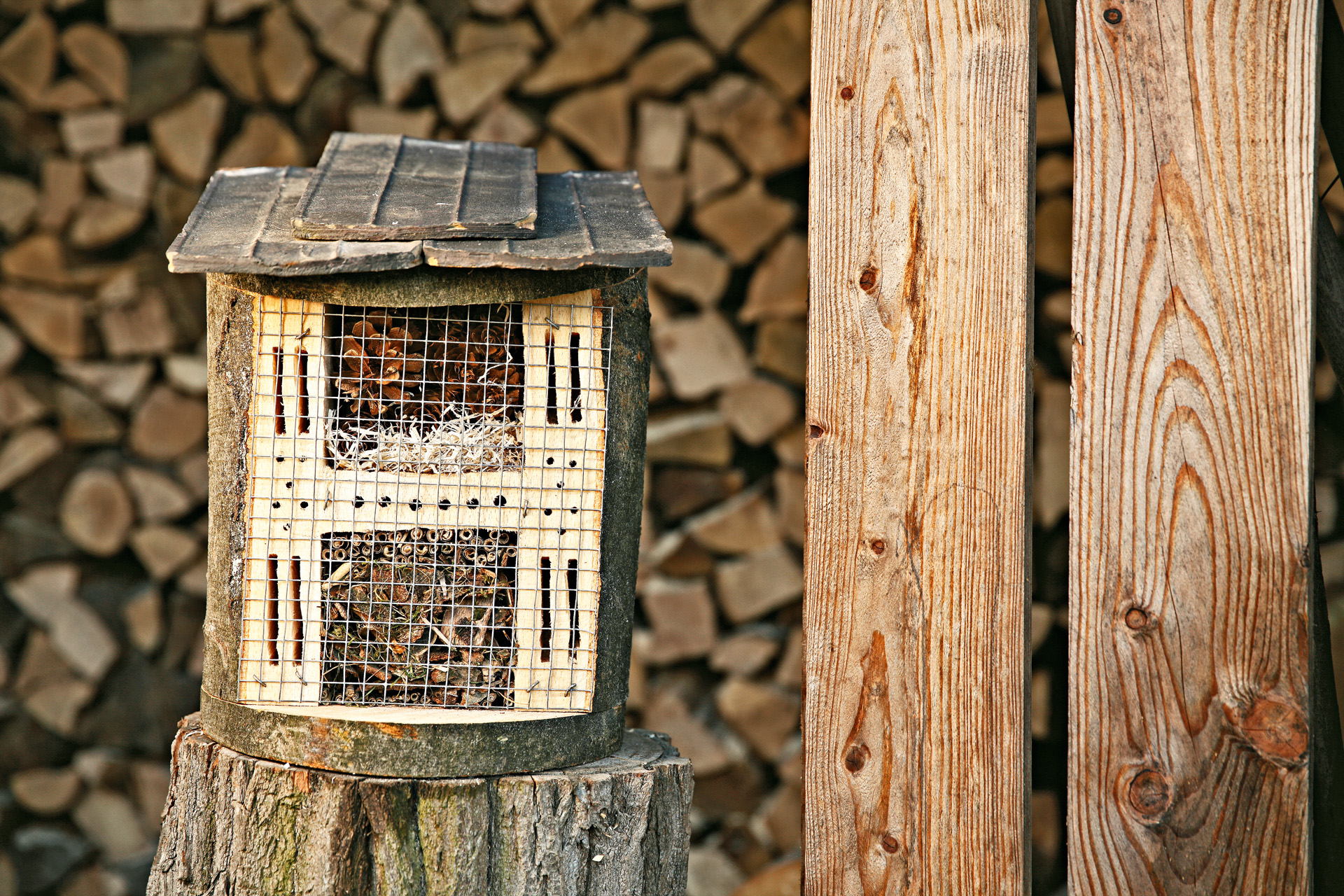 Un hotel para insectos casero sobre un tocón.