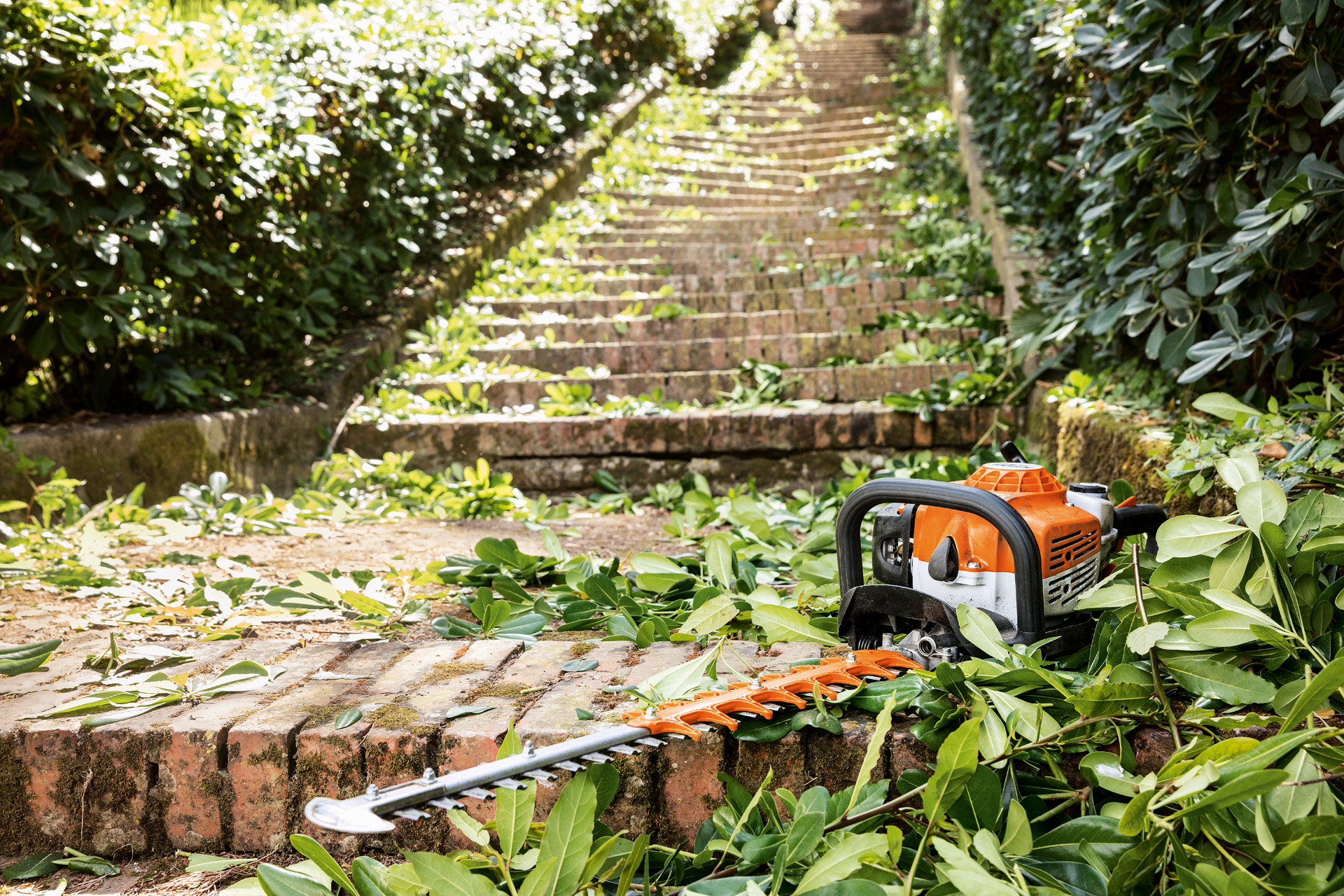 Un cortasetos de gasolina STIHL HS 82 T situado entre hojas verdes en una escalera antes del mantenimiento