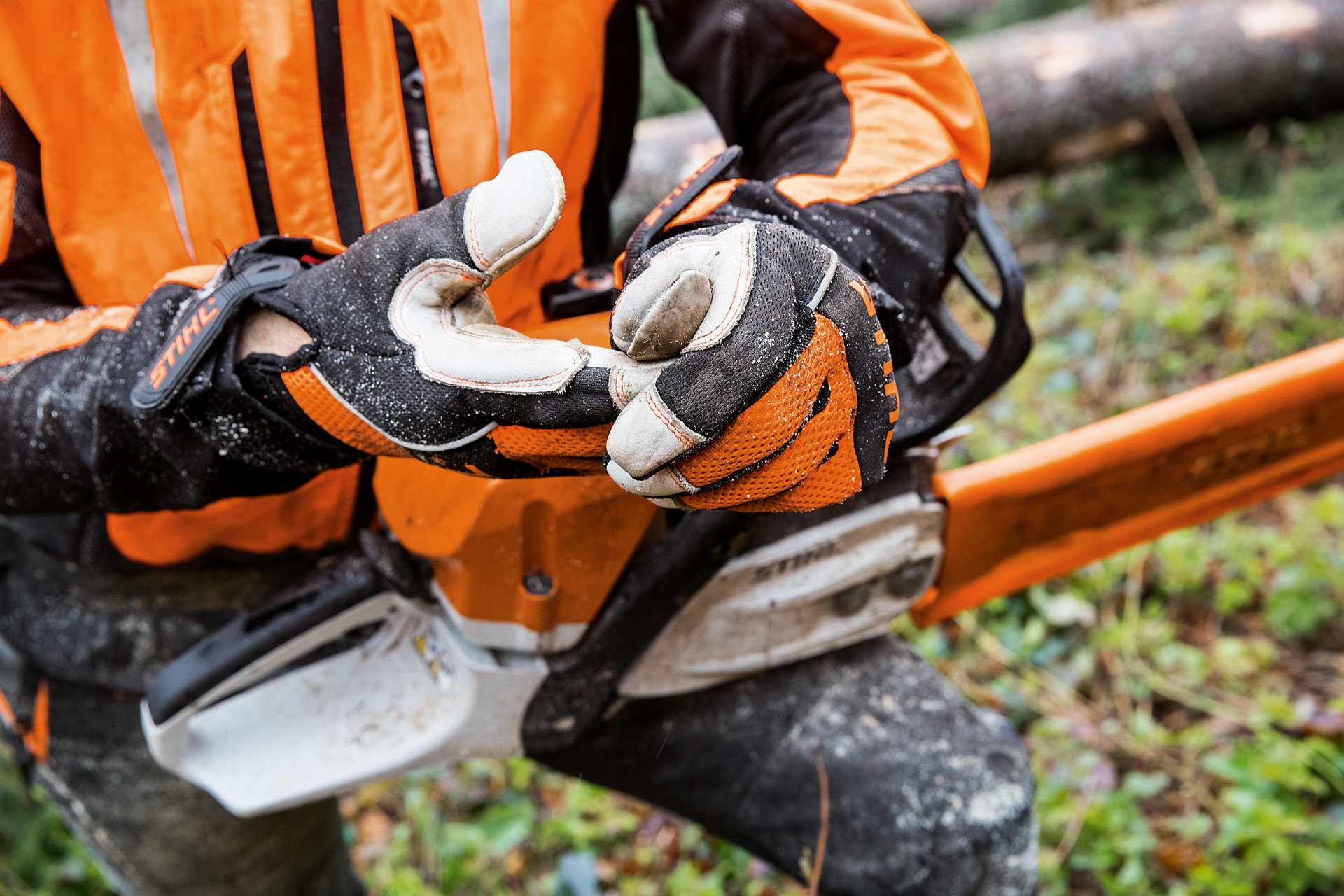Un trabajador forestal preparado para trabajar en el bosque con su equipamiento 