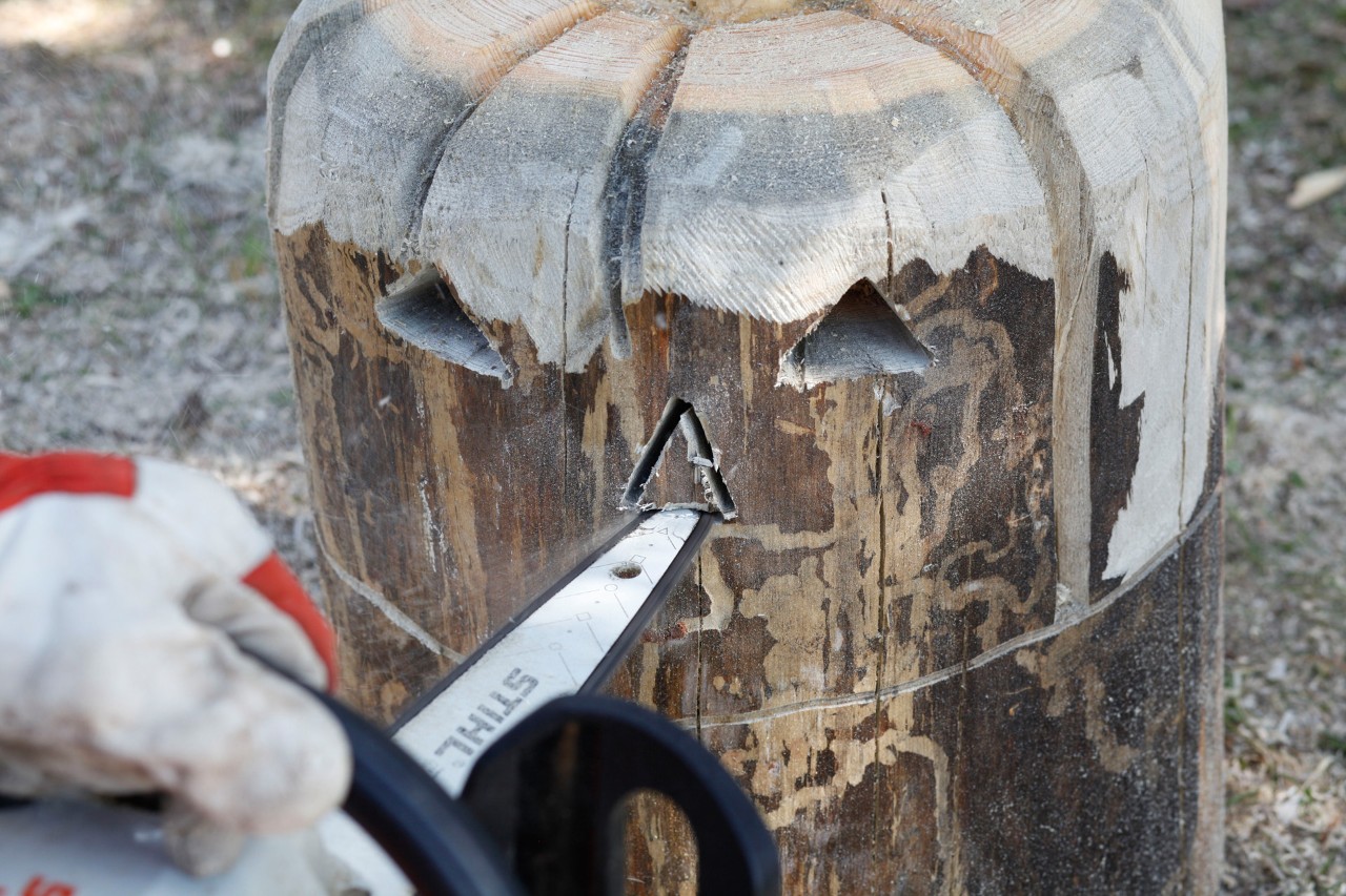 Una cara de una calabaza de madera para decorar tallada de un tronco con una motosierra STIHL MSA 140 C.