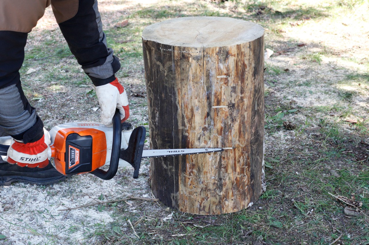 Una motosierra STIHL MSA 140 C cortando muescas en un tronco para crear una calabaza de madera para decorar.