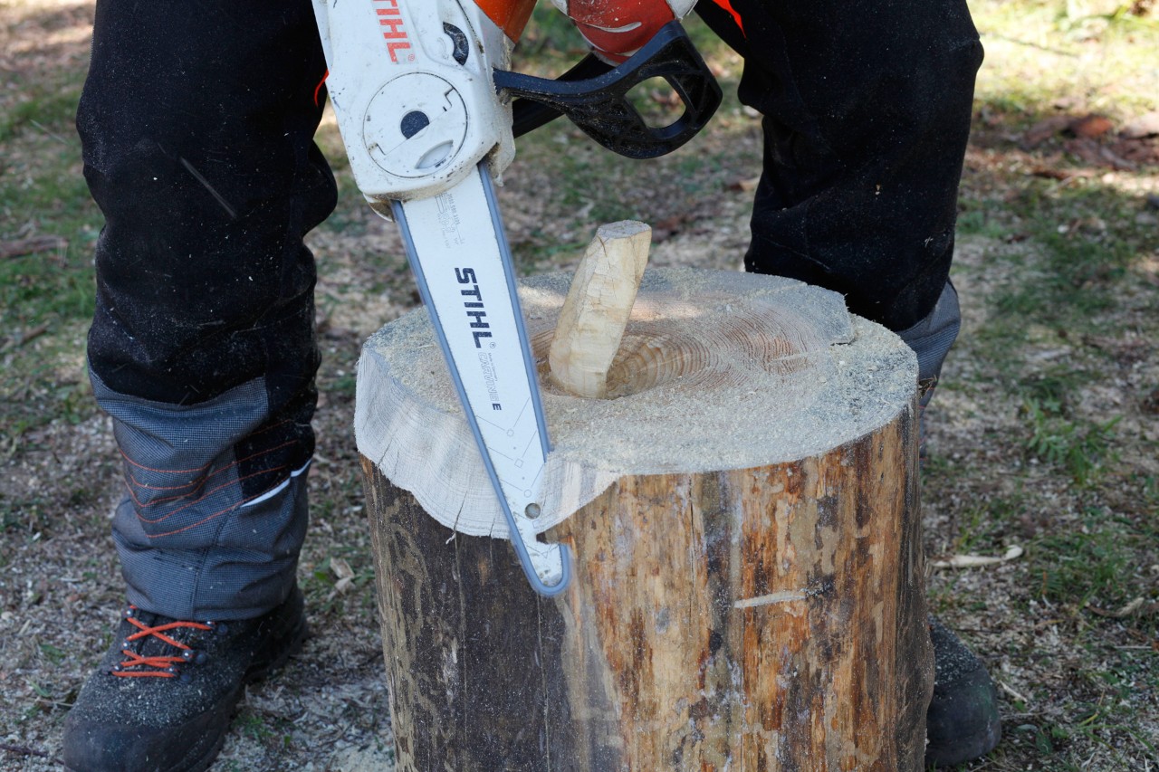Los bordes superiores de un tronco redondeados con una motosierra STIHL MSA 140 C
