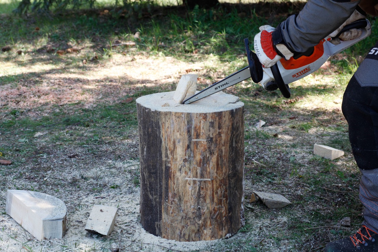 El tallo de una calabaza de madera cortado de un tronco con una motosierra STIHL MSA 140 C