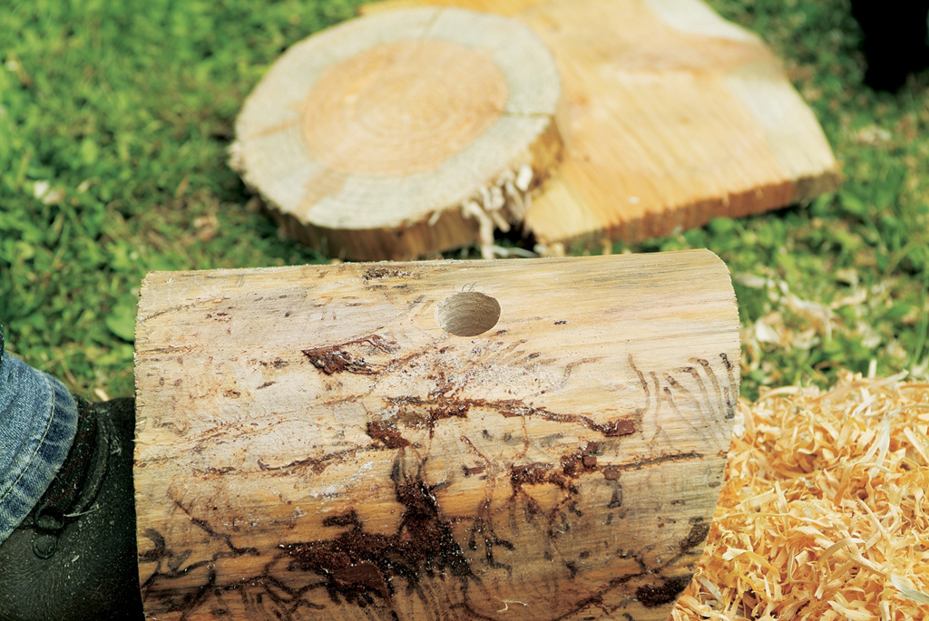 Cuerpo principal de madera para hacer una casa de pájaros sobre el césped, con un orificio taladrado con STIHL.