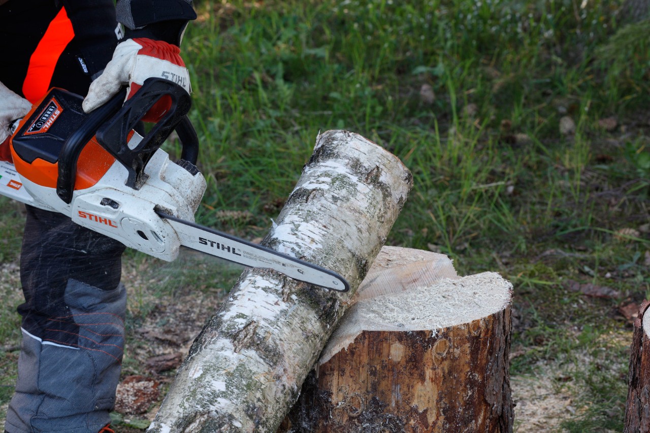 Crea tus velas de madera: Una motosierra de batería STIHL MSA 140 C cortando una marca alrededor de un tronco fino