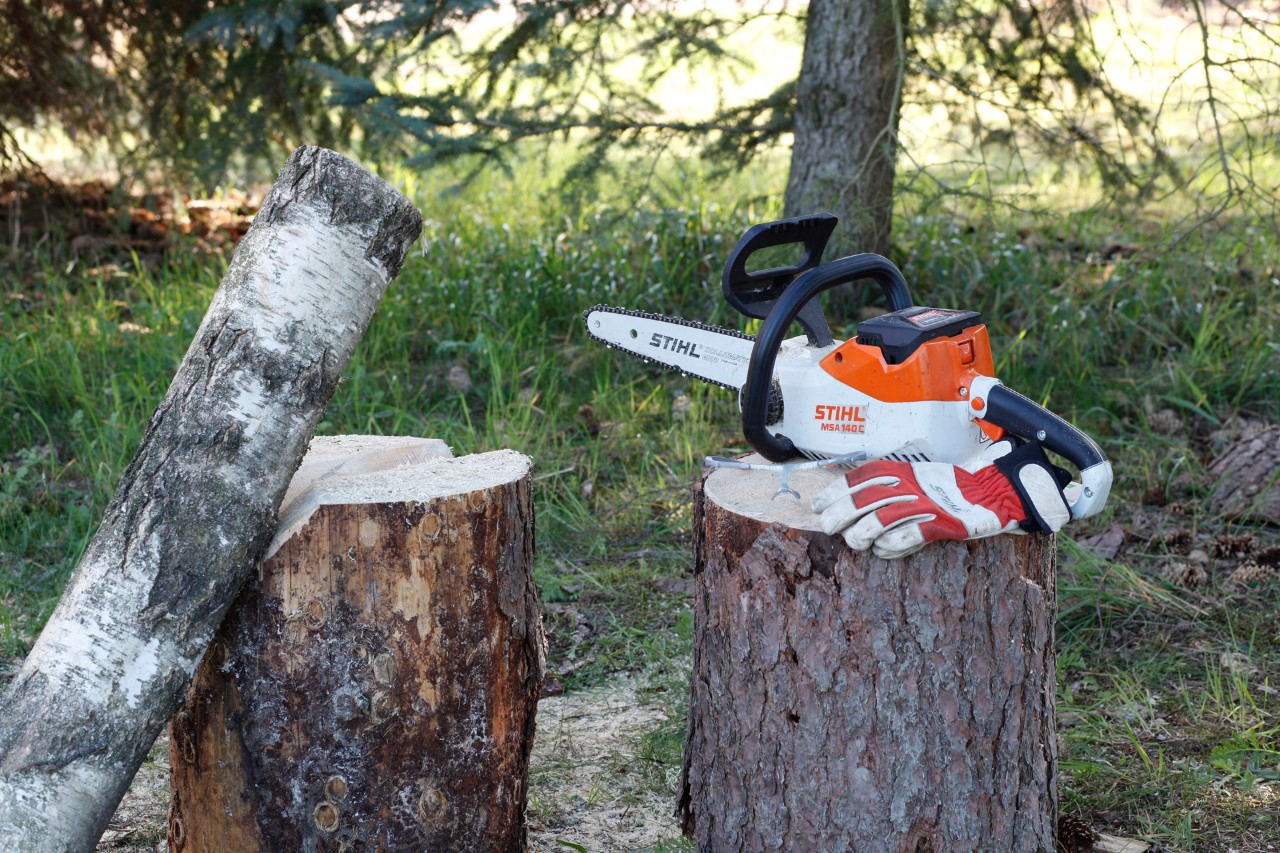 Una motosierra STIHL MSA 140 C y guantes protectores sobre un tocón de árbol con otros troncos cerca para crear velas navideñas de madera.