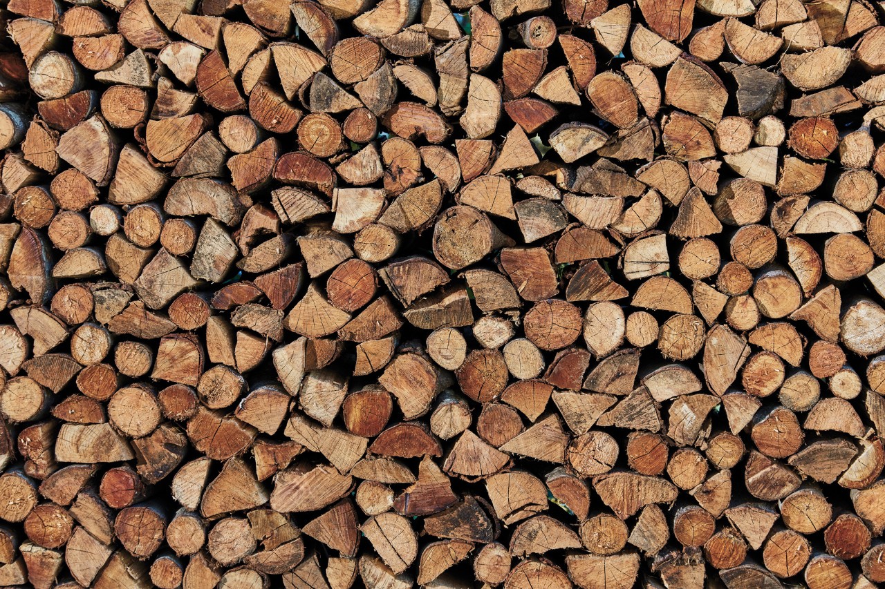 Una pila de troncos de madera.