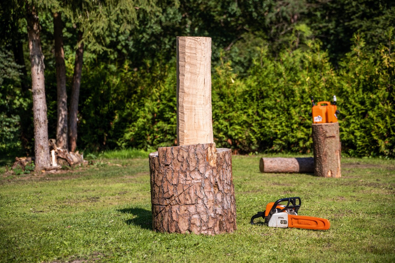 Un tronco sin corteza en una base, con una motosierra STIHL en el suelo junto a él.
