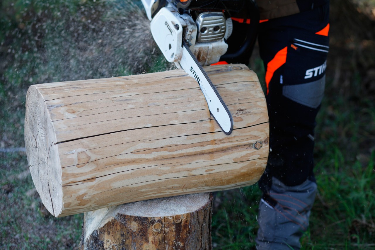 Taburete artesanal a partir de un tronco: corte de un tronco a la longitud deseada con una motosierra STIHL de gasolina MS 231 C