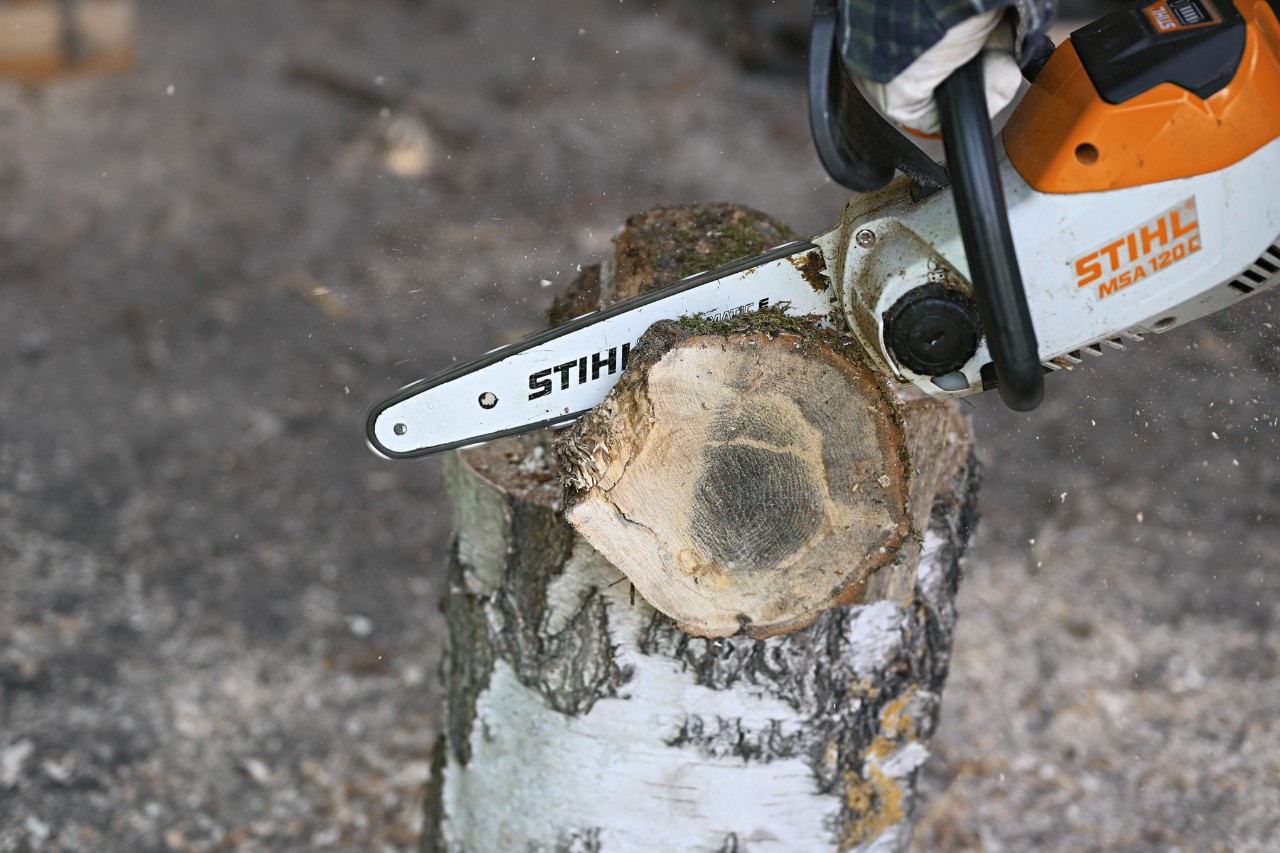 Primer plano de un trozo de árbol recortado con la motosierra de batería STIHL MSA 120