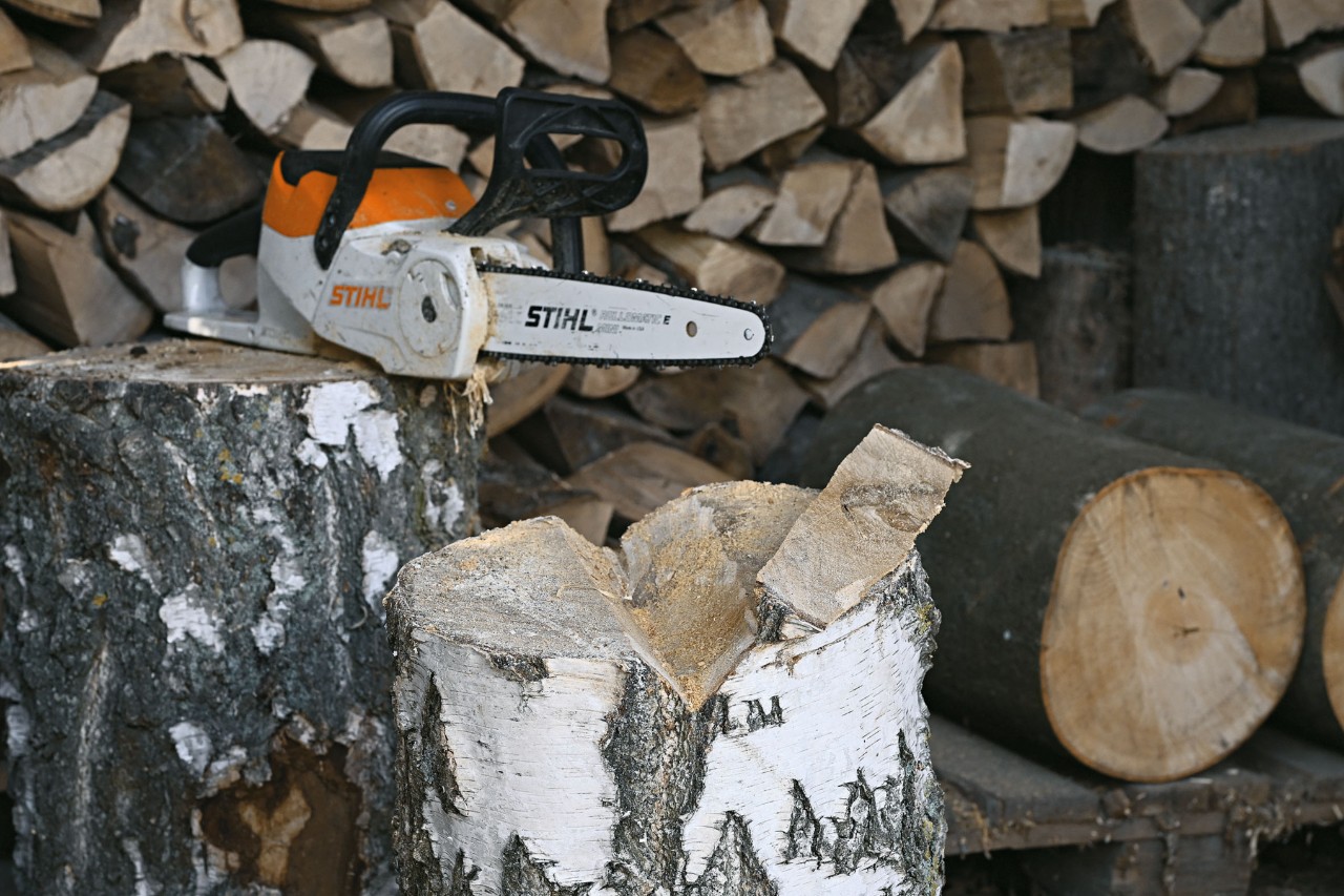 Una motosierra de batería STIHL MSA 120 y un tronco en el que se ha cortado una muesca