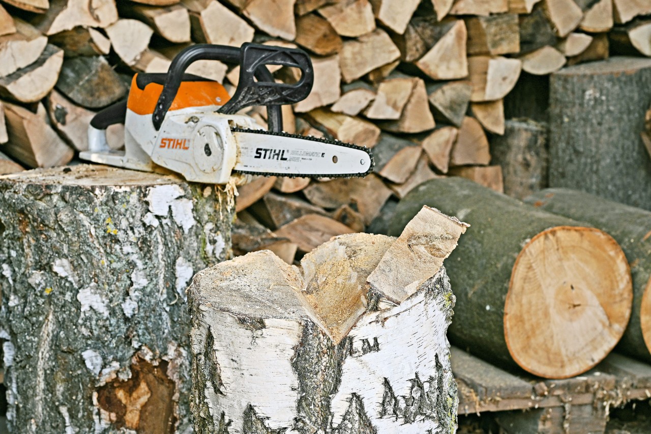 Un tocón de árbol con una muesca cortada y una motosierra de batería STIHL MSA 140 C sobre un tronco de árbol detrás.