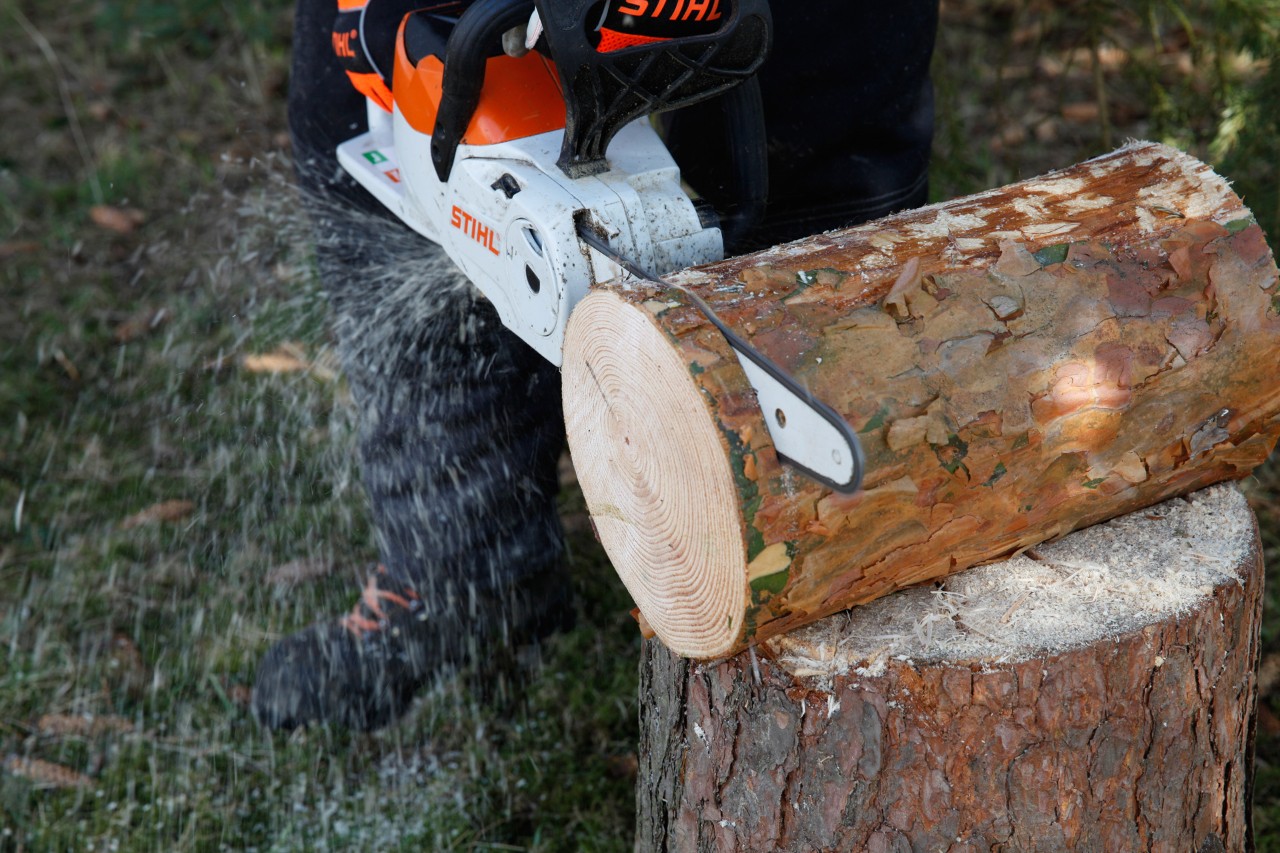 Comedero para pájaros de madera: una motosierra de batería STIHL MSA 140 C cortando una rodaja de un tronco.