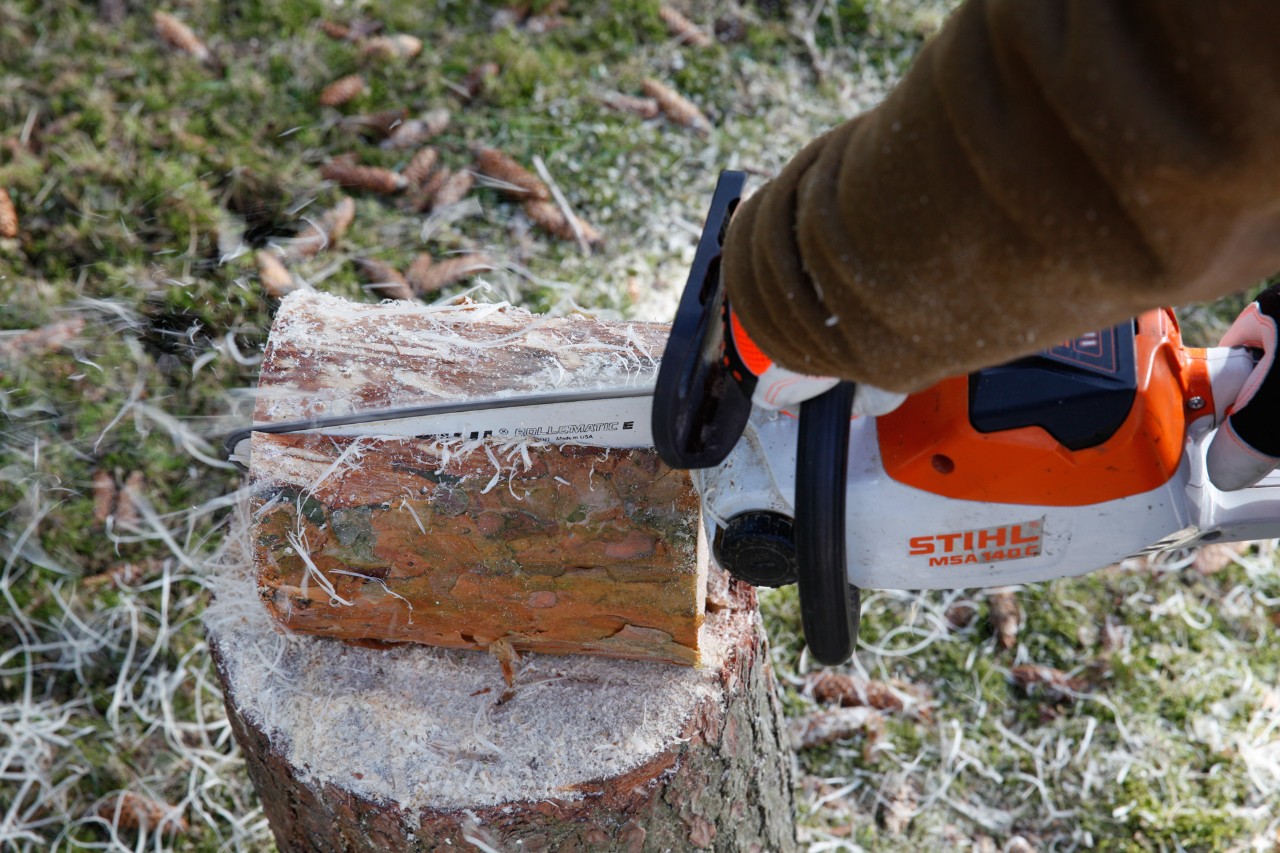 Comedero para pájaros de madera: realización de cortes en un tronco con una motosierra de batería STIHL MSA 140 C.
