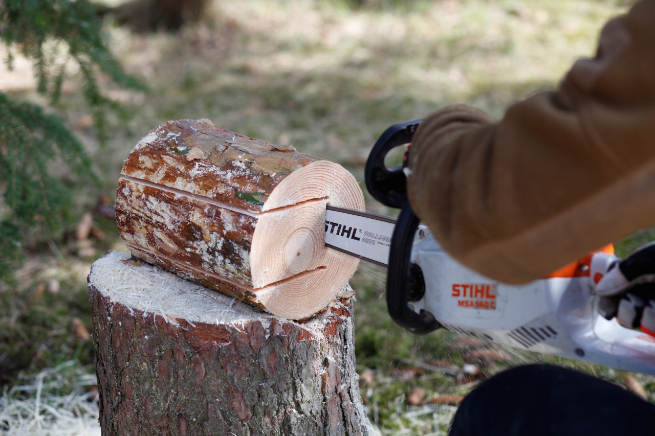 Comedero para pájaros de madera: realización de un corte profundo en un tronco con una motosierra STIHL MS 140 C.