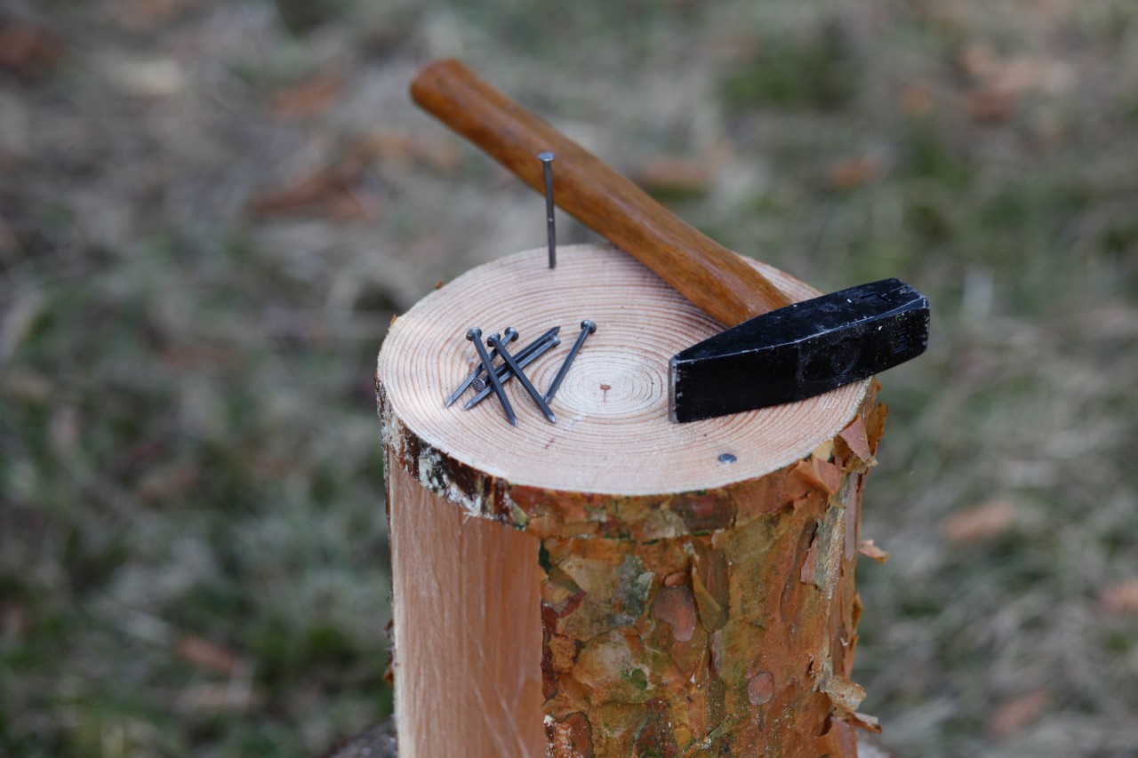 Comedero para pájaros de madera: martillo y clavos sobre un comedero para pájaros sin acabar, girado de un lado.