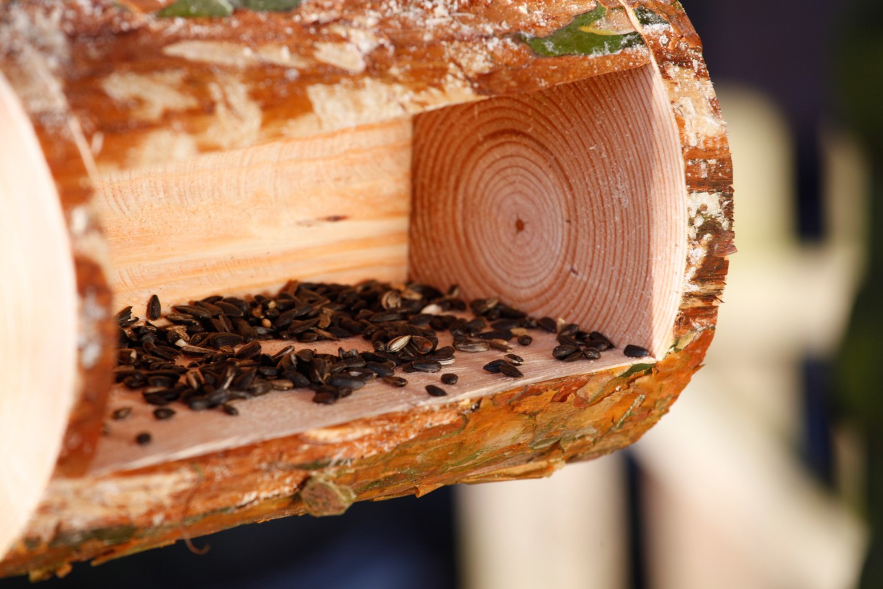 Comedero para pájaros de madera: primer plano de las semillas para pájaros dentro de un comedero acabado.