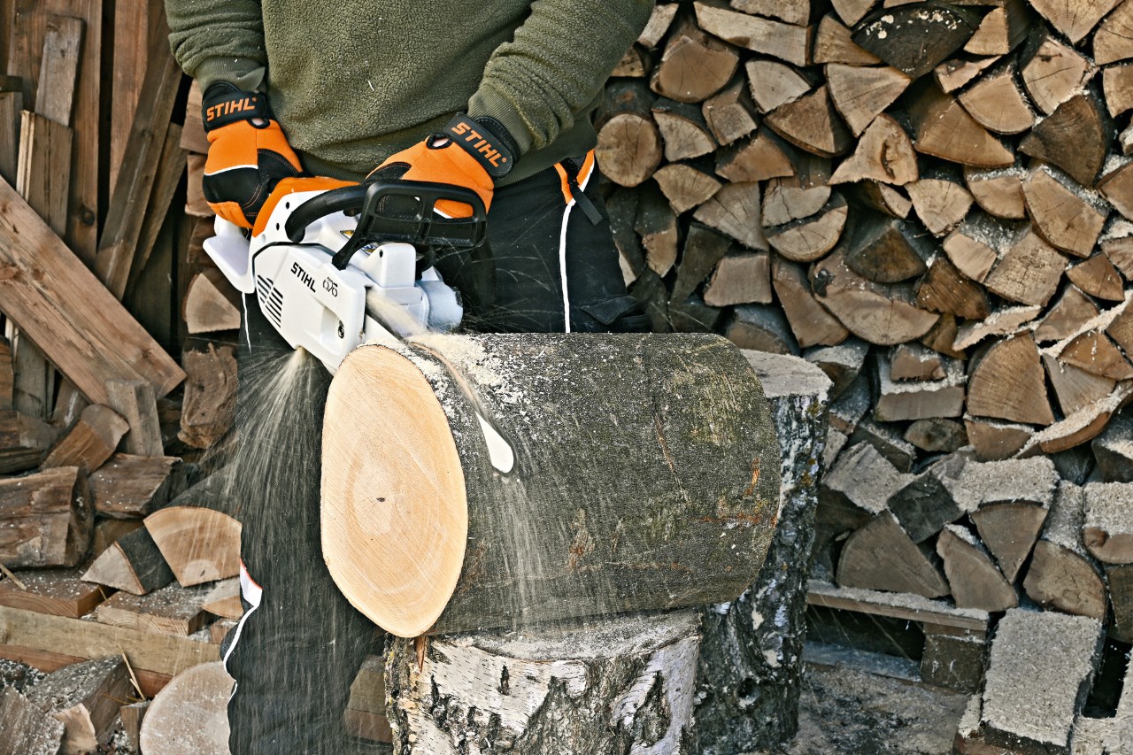Cómo hacer un hotel para insectos: una motosierra eléctrica STIHL MS 151 C corta una rodaja de tronco.