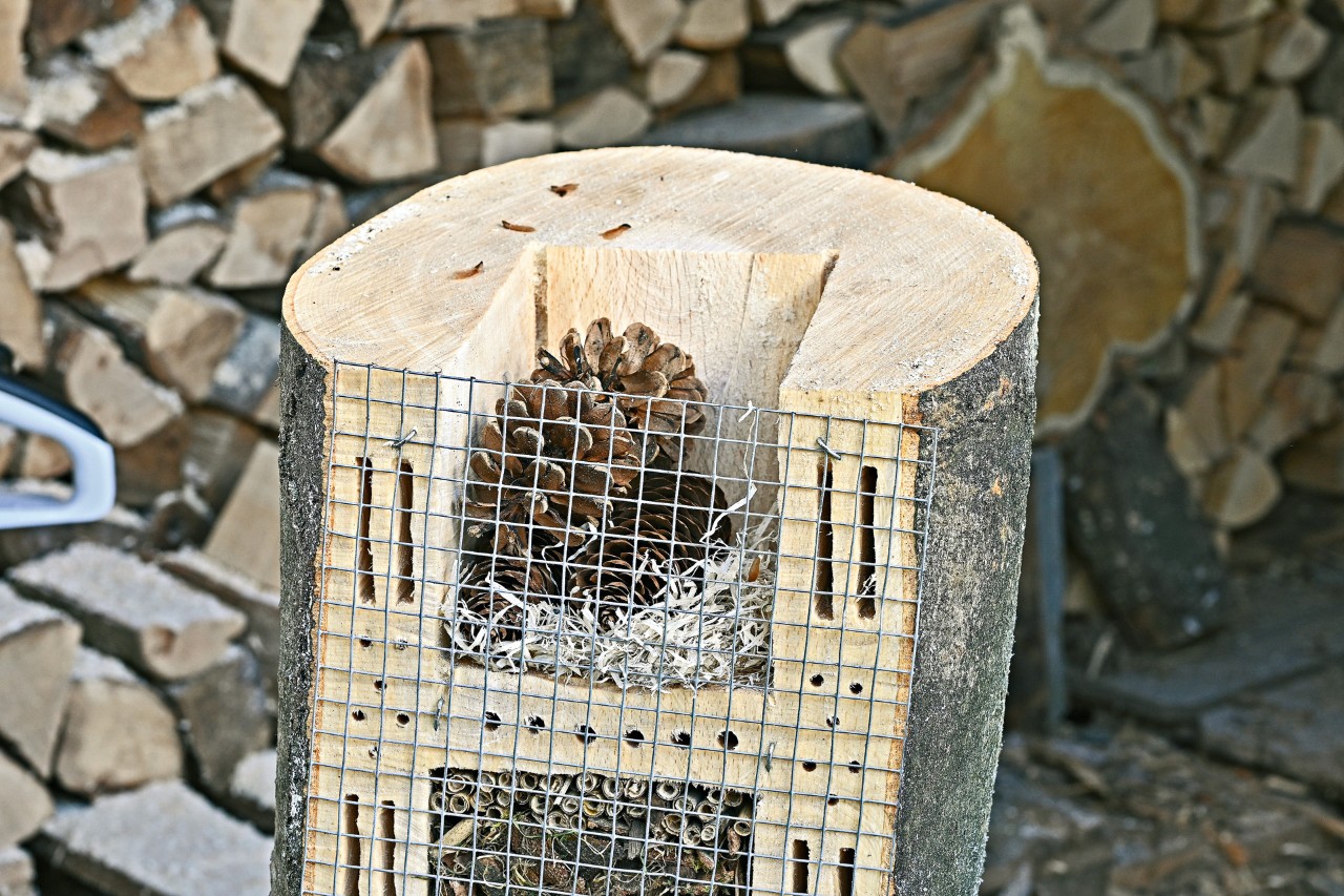 Cómo hacer un hotel para insectos: sección superior de un hotel relleno con cortezas y una piña.