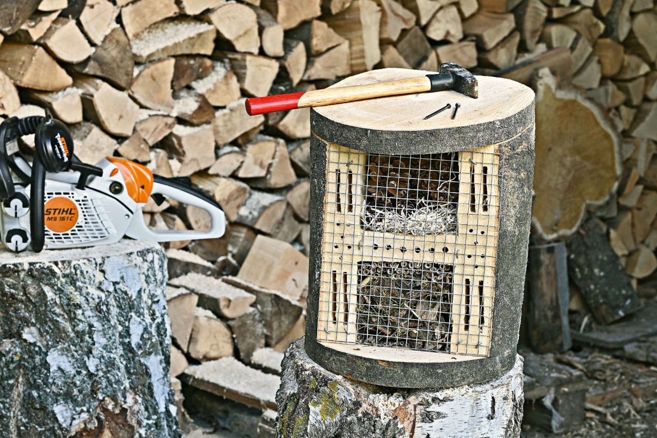 Un martillo sobre un hotel para insectos de bricolaje acabado, con una motosierra eléctrica STIHL MS 151 C al lado.