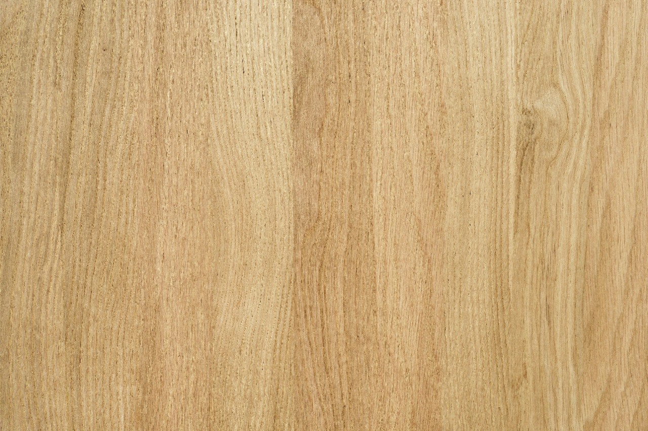 Primer plano de madera de fresno granulada para realizar un banco para jardín.