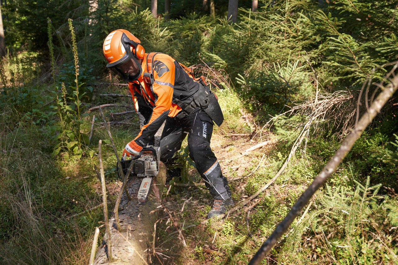 Una persona con ropa de protección, casco y protector facial utiliza una motosierra STIHL con espada Light 04.