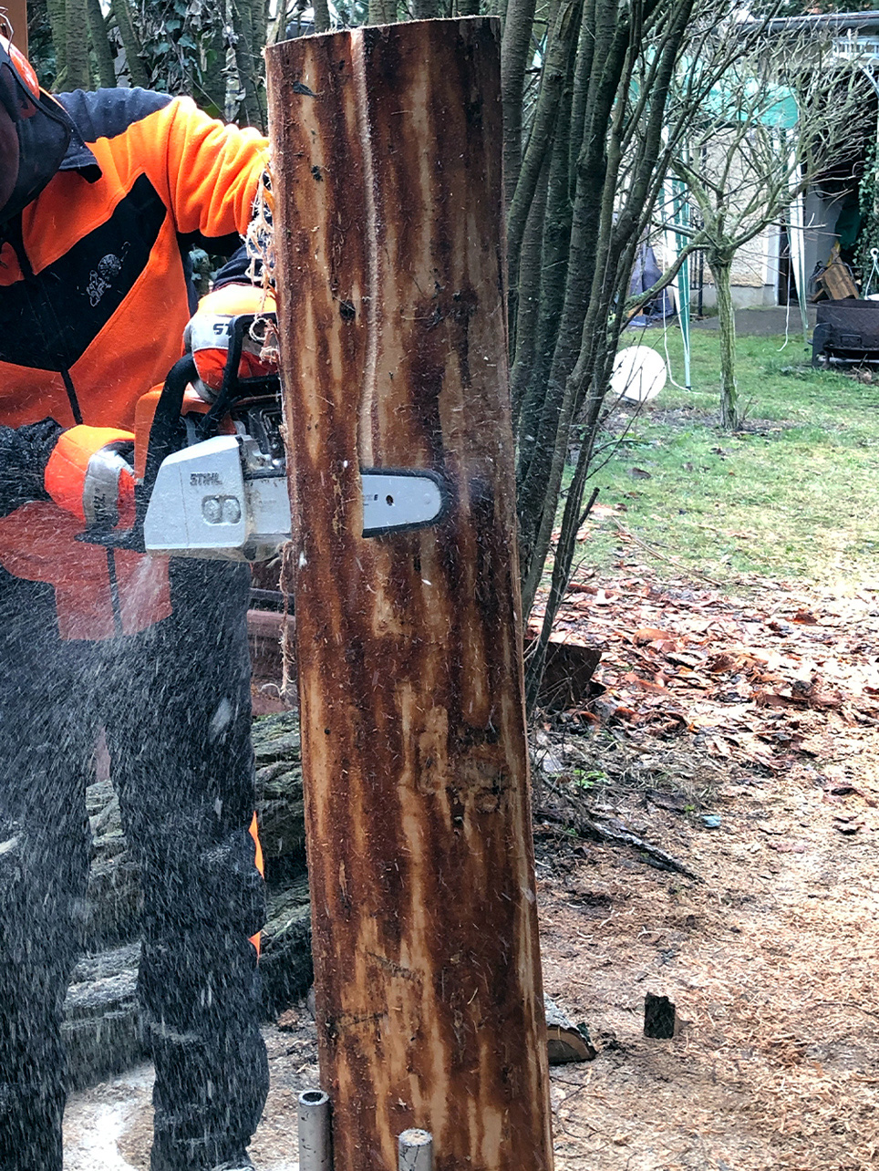 Crea tu propia mesa exterior DIY: una motosierra de gasolina STIHL MS 170 se utiliza para cortar un trozo de tronco.