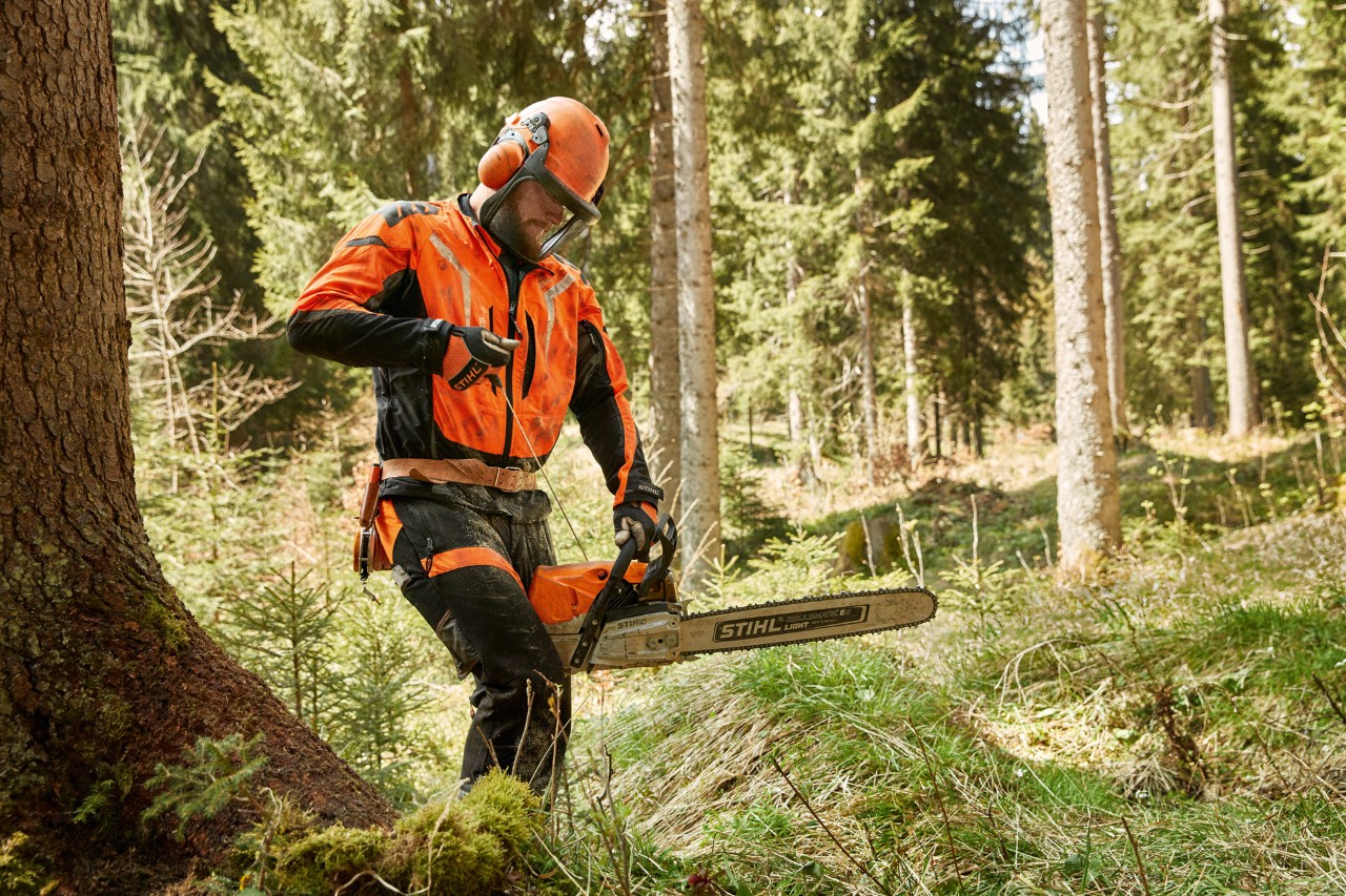 Un hombre con ropa seguridad motosierra que incluye casco, arrancando una STIHL MS 462 C-M en el bosque.