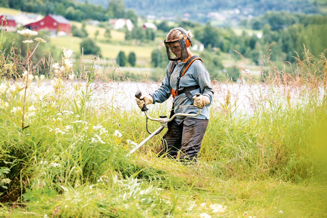 Cuando se trabaja entre hierba alta con la desbrozadora de gasolina STIHL FS 240, la protección laboral es importante
