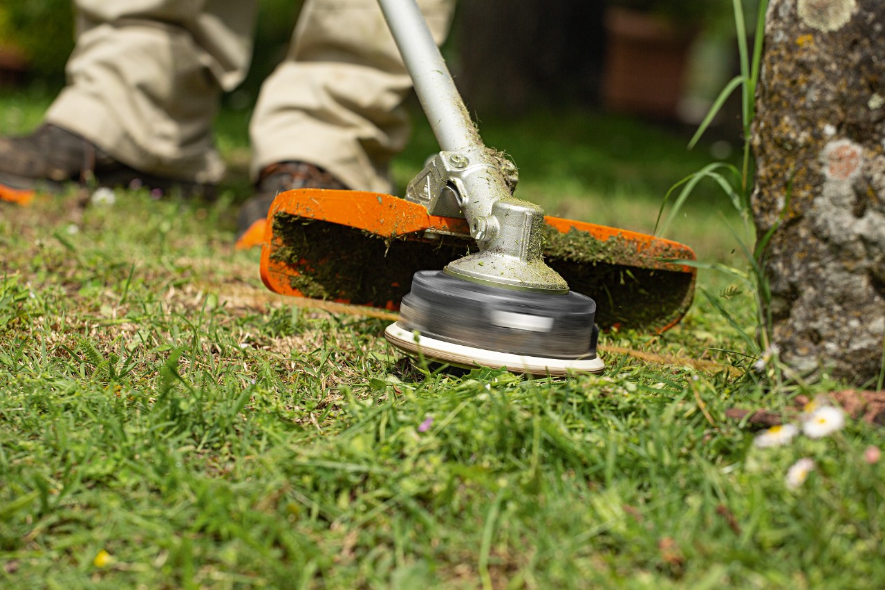 Primer plano de una desbrozadora STIHL FS 240 cortando cerca de la base de un árbol