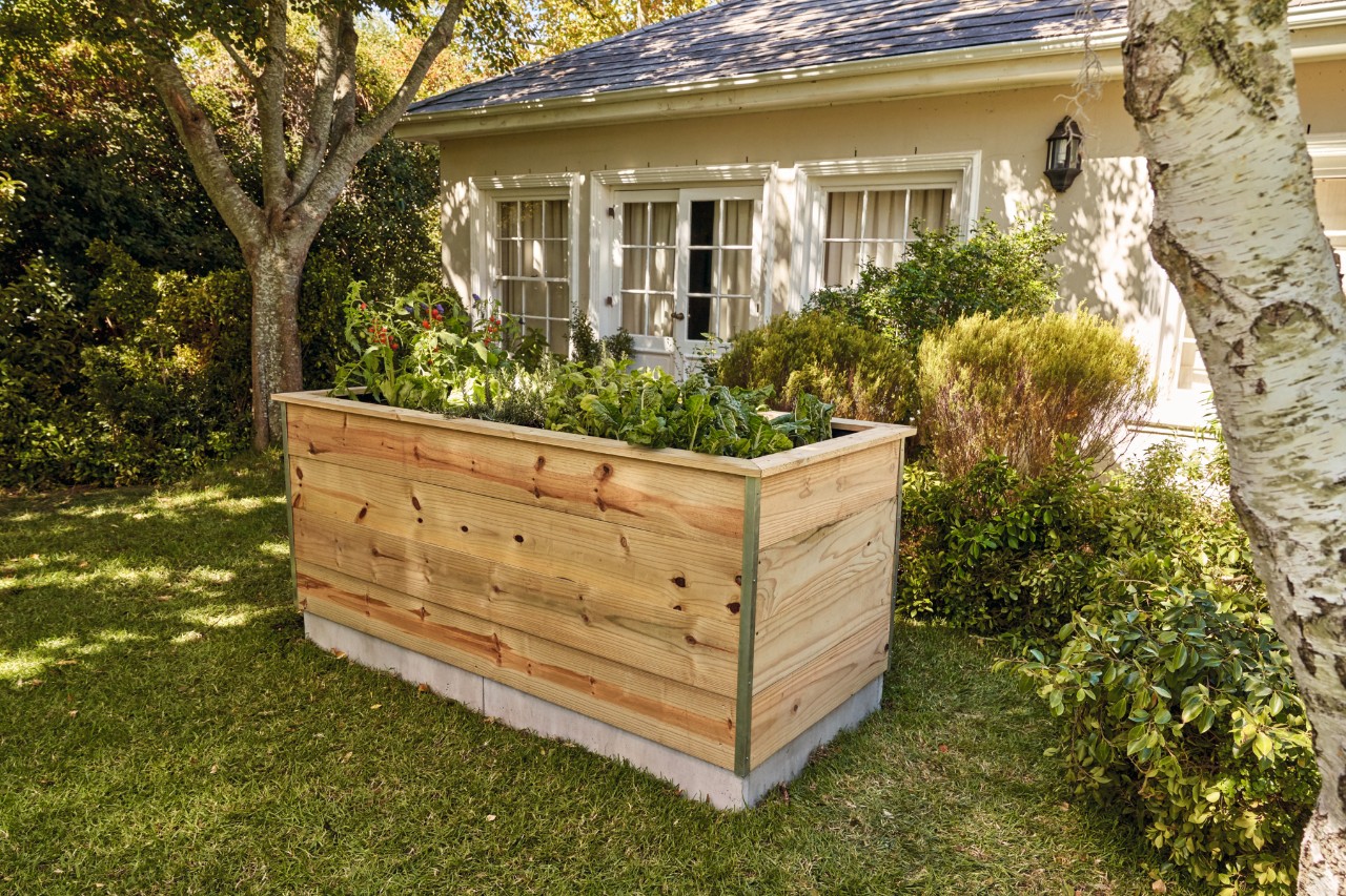 Un huerto elevado de tablas de madera, de autoconstrucción, con plantas, en un jardín delante de una casa 