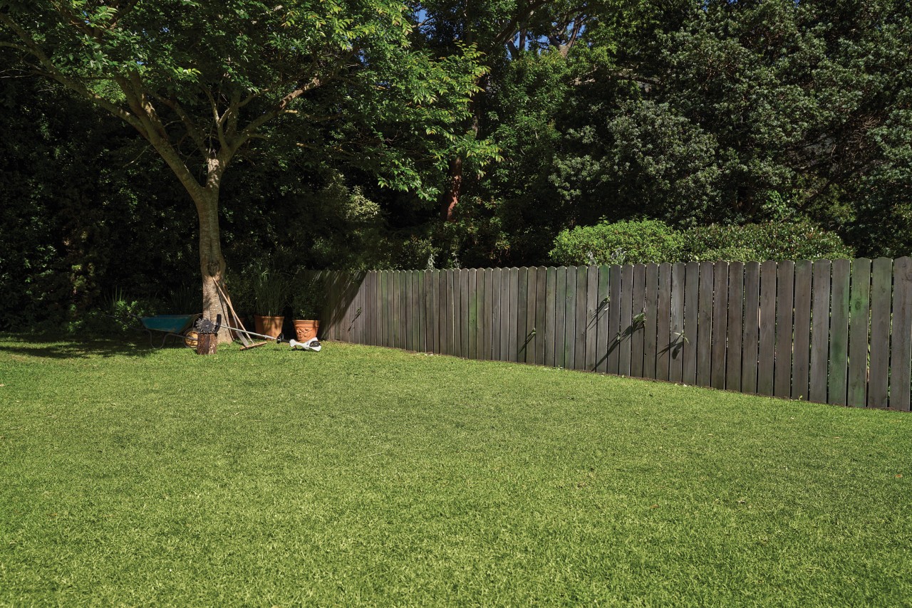 Un jardín con césped verde, una valla de madera, y unas plantas perennes a la sombra de un árbol en el fondo.