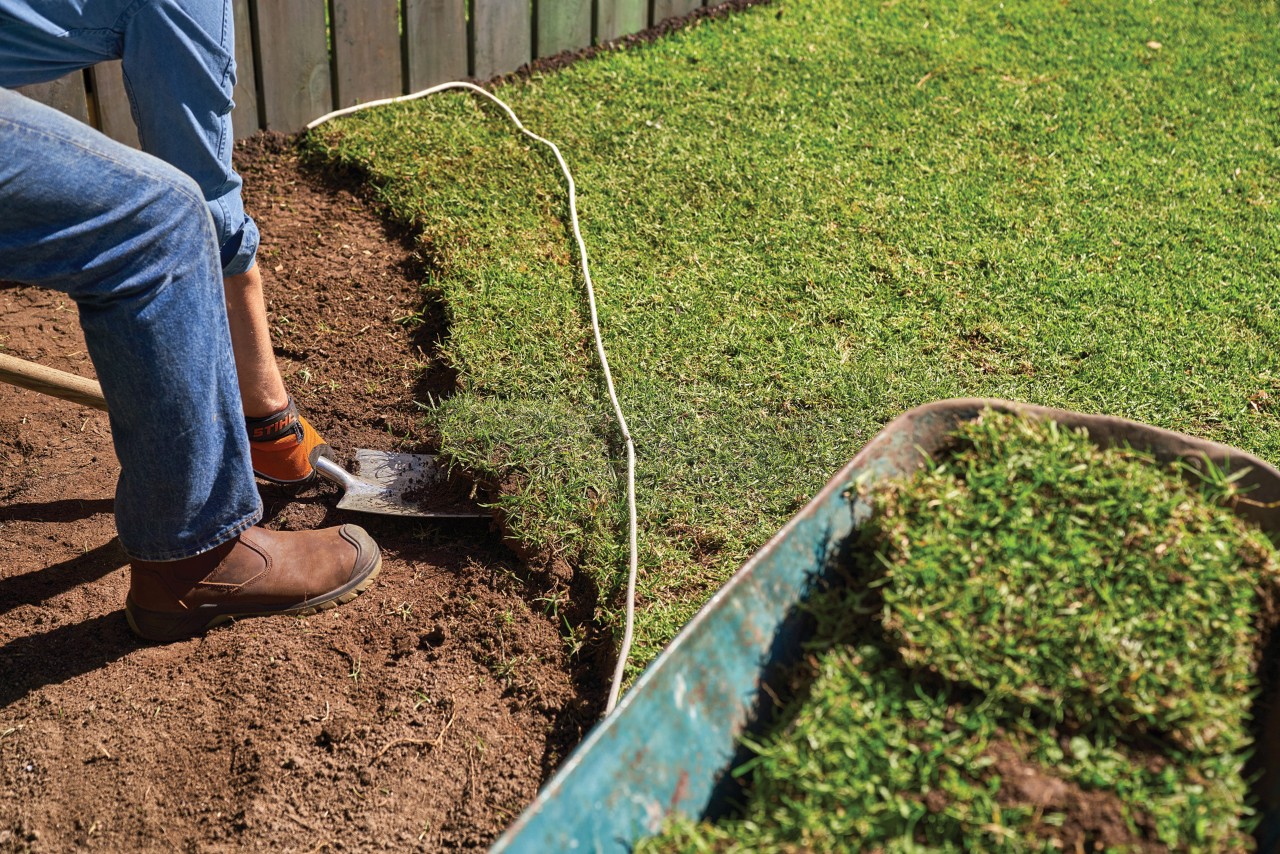 Una persona levanta el césped con una pala para cultivar plantas perennes para parterres.