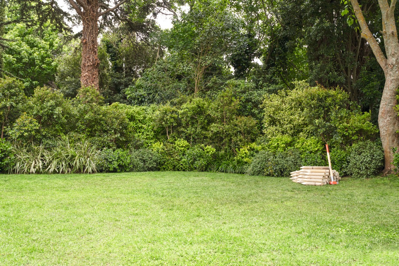 Parcela de jardín con césped y tacos de madera al fondo