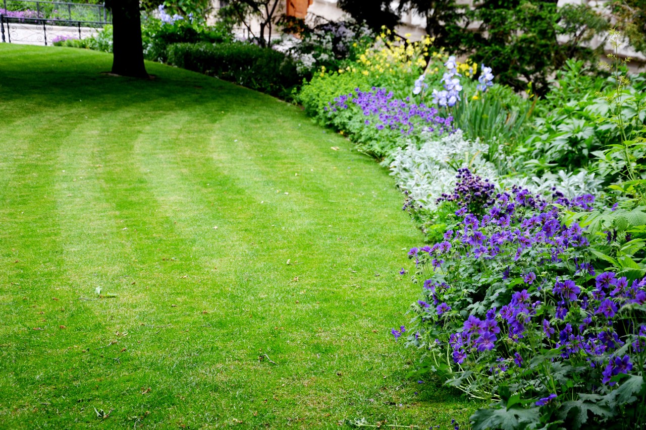 Borde natural hecho con plantas que separa el arriate de un césped verde y exuberante