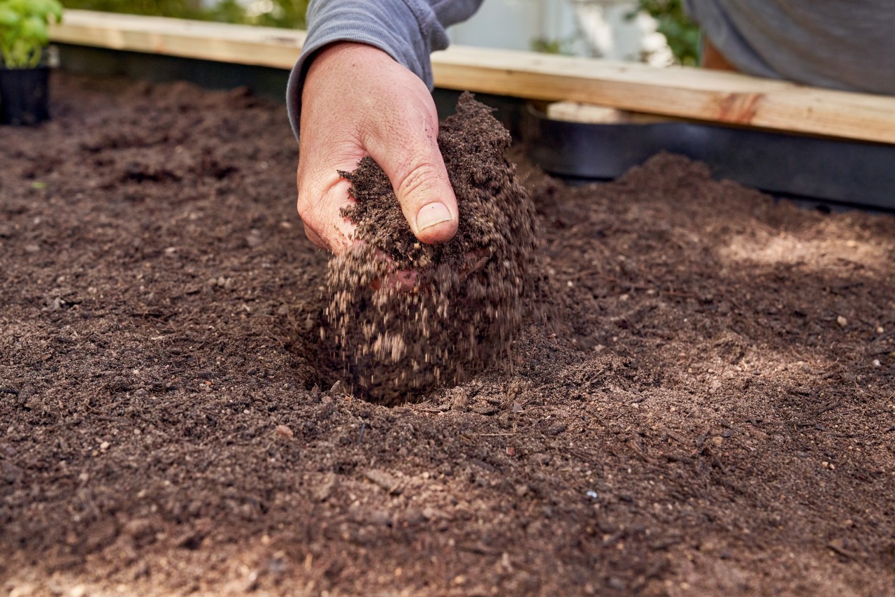 Primer plano de una persona esparciendo la tierra en una mesa de cultivo.