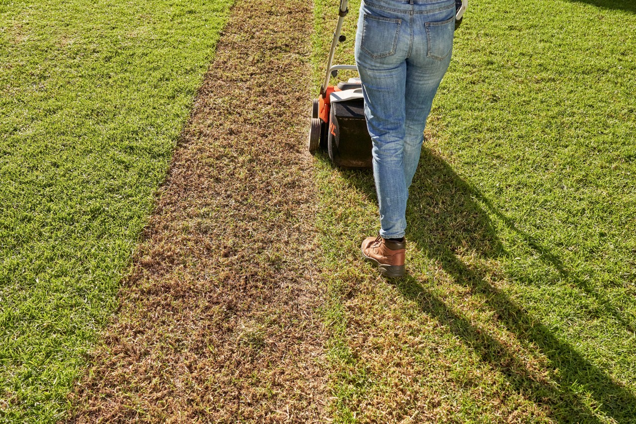 Una mujer airea el césped con el escarificador de batería STIHL RLA 240