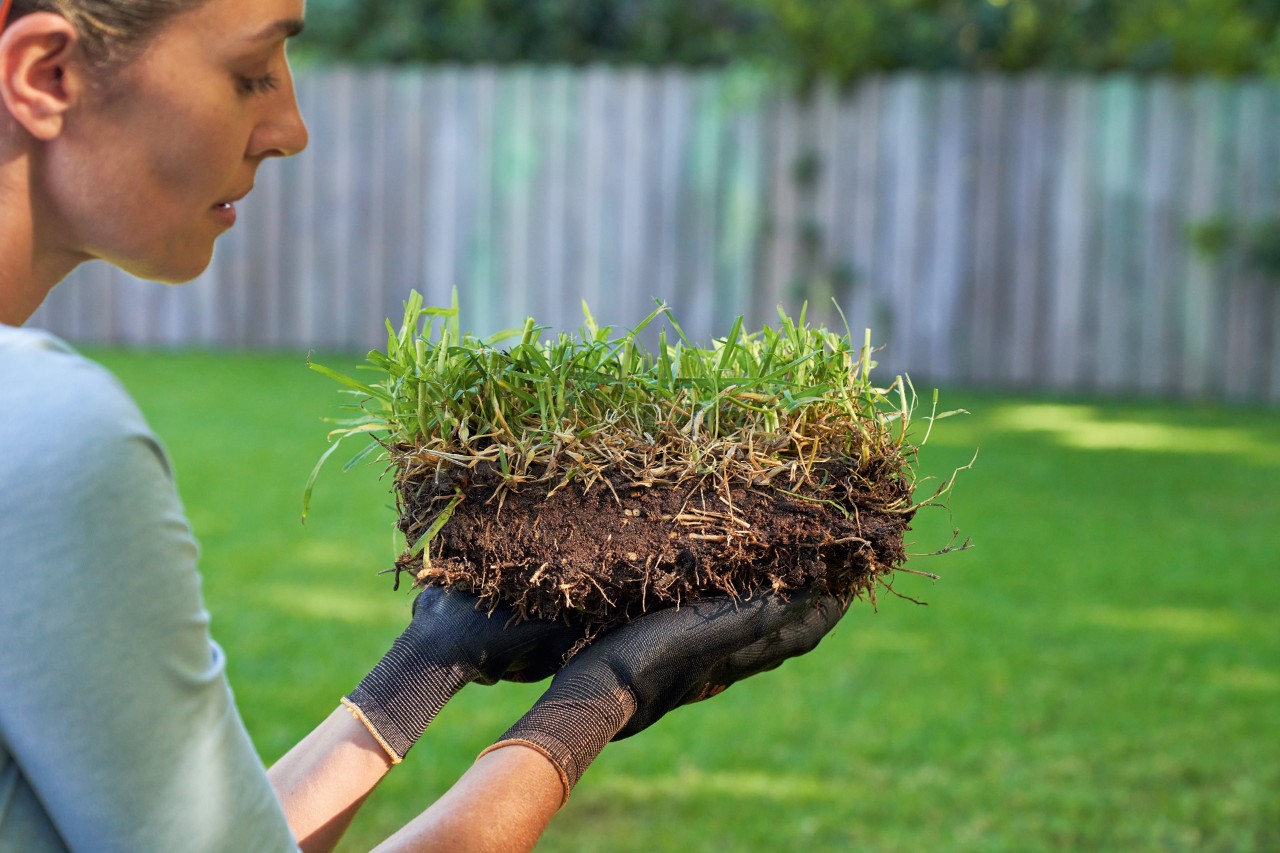 Una mujer sujeta un trozo de césped con los guantes de trabajo STIHL FUNCTION SENSOTOUCH puestos.