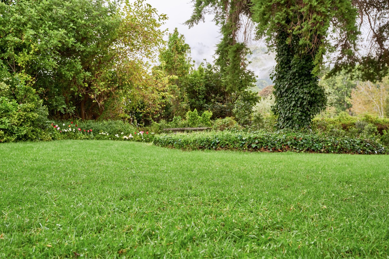 Un jardín grande y bonito con un césped bien cuidado y exuberante