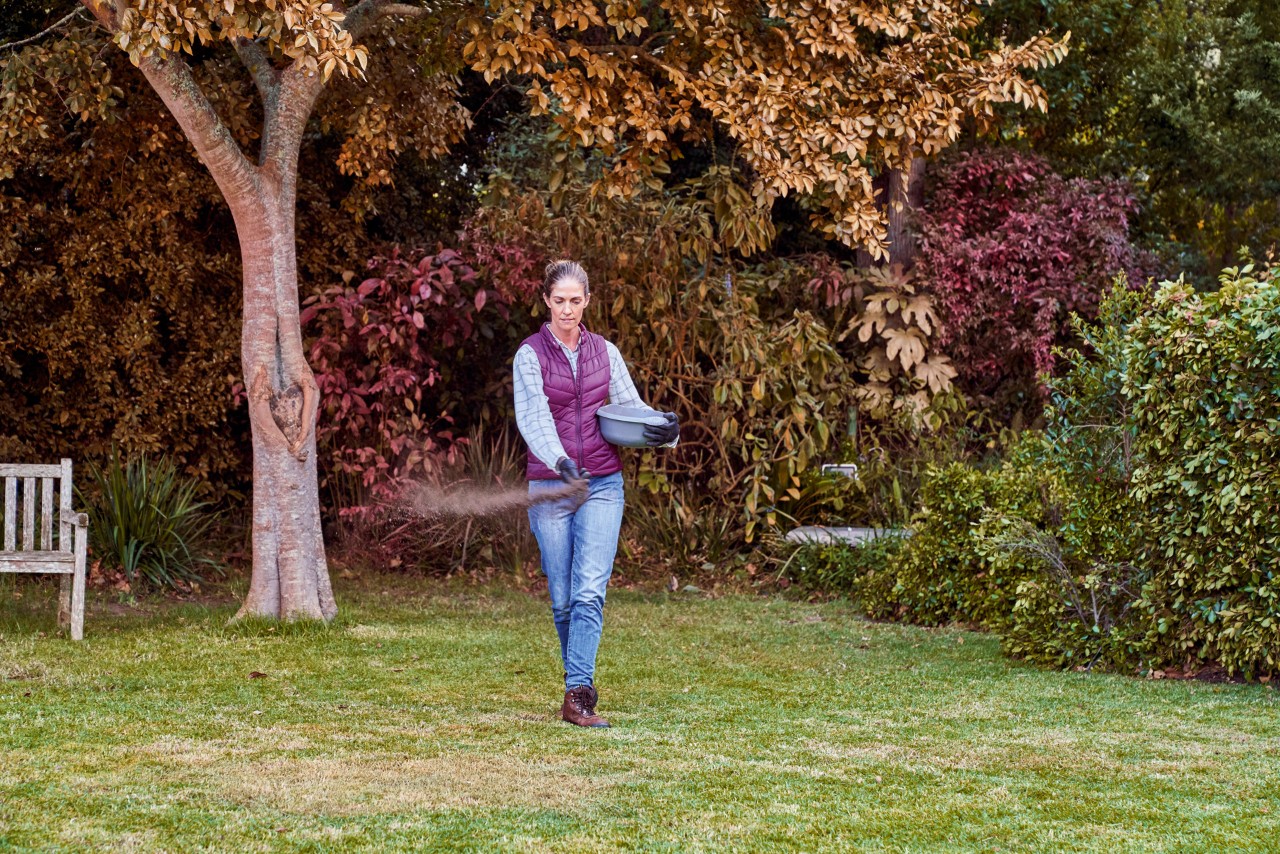 Durante el cuidado del césped en otoño, una mujer trata el césped de su jardín con fertilizante otoñal