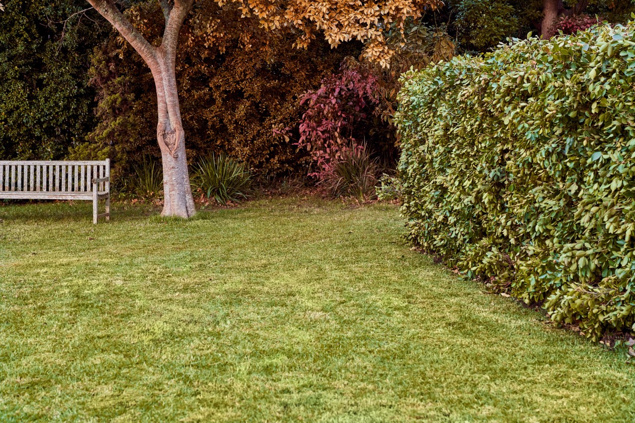 Un banco, árboles con hojas otoñales y un seto en un jardín bien cuidado en otoño.