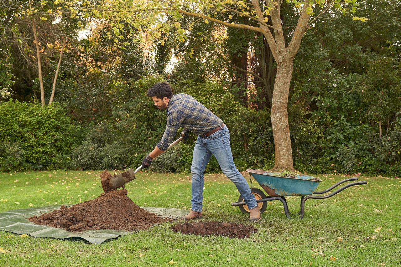 Un hombre cava con la pala un agujero para plantar en él un árbol