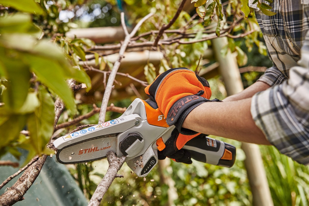 Una rama cortada con la minisierra de batería STIHL GTA 26 por una persona encargada de la poda de árboles frutales