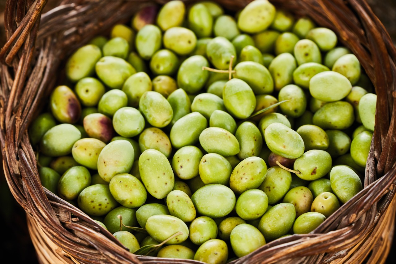 Primer plano de una cesta con aceitunas