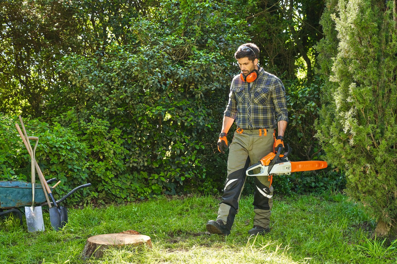 Un hombre con equipo de protección se acerca al tocón de un árbol con la motosierra STIHL MS 162 para retirarlo