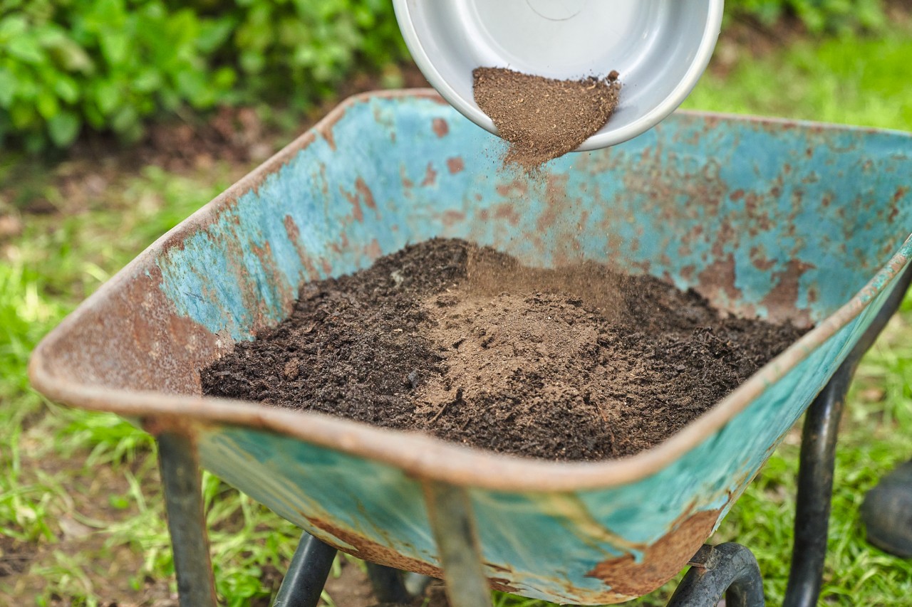 Primer plano de una persona esparciendo abono en una carretilla sobre un compost tamizado 