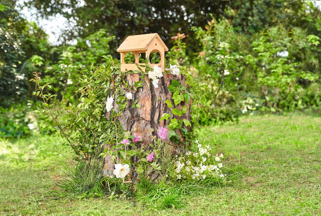 Un cuenco de flores sobre un tocón de árbol