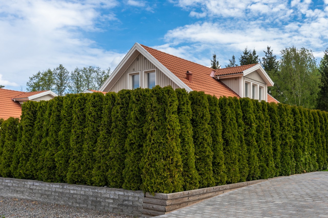 Casa con jardín rodeada de un seto denso