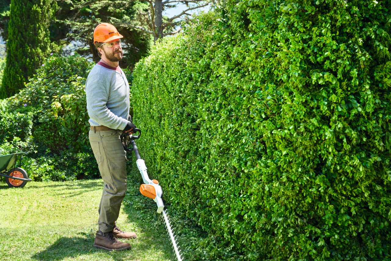 Un hombre camina lentamente a lo largo de un seto con el cortasetos de altura de batería STIHL HLA 56